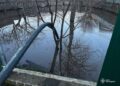 Вода пішла у двори й погреби: на Черкащині масово борються з підтопленнями
