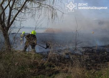 За добу на Миколаївщині зареєстровано сім пожеж в екосистемах » Миколаївський Оглядач