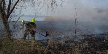 За добу на Миколаївщині зареєстровано сім пожеж в екосистемах » Миколаївський Оглядач