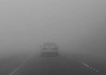 Жовтий рівень небезпеки: туман накриє Черкащину вночі та вранці