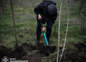 112 піротехніків ДСНС сьогодні працюють над розмінуванням Миколаївщини » Миколаївський Оглядач