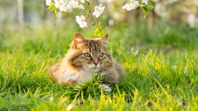 Стало відомо, коли в Україну повернеться весняне тепло – ЭКОНОМИКА