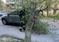 Через шквальний вітер на Прикарпатті на дороги впало понад 30 дерев (ВІДЕО)