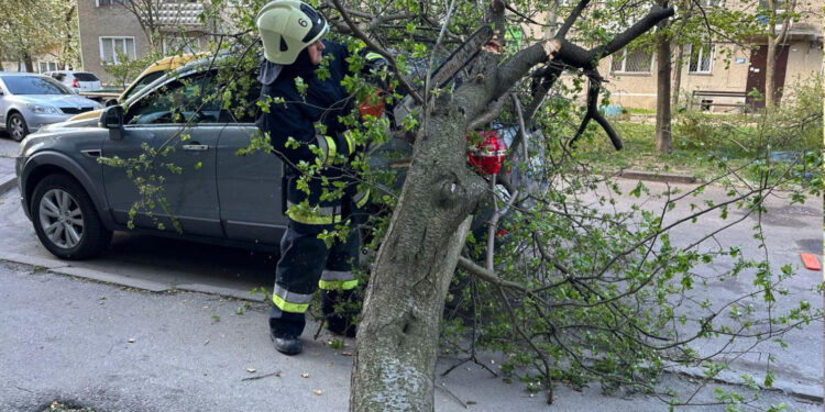 Через шквальний вітер на Прикарпатті на дороги впало понад 30 дерев (ВІДЕО)