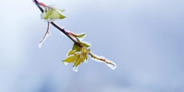Черкащину знову накриє нічний холод