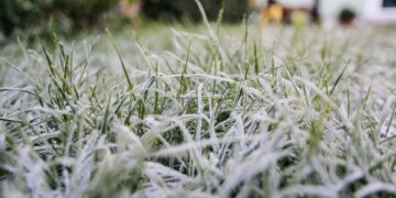 Черкаси та область накриють заморозки до -3 градусів