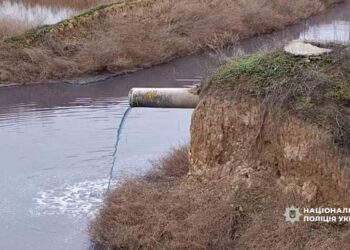 Керівнику винзаводу на Одещині визначили заставу :: Інтент :: Суспільно-політичне видання:: Регіональна мережа якісної журналістики