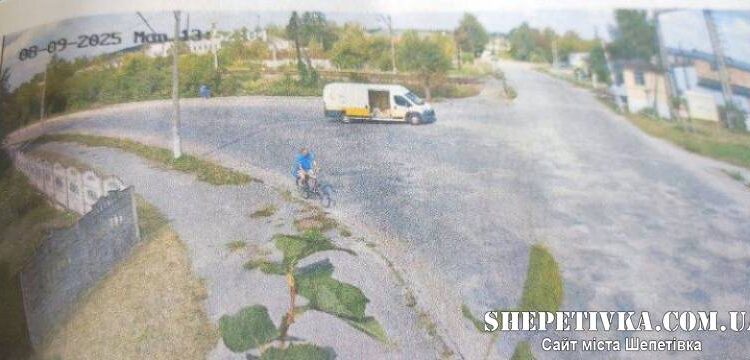 Квіти, коні та спецзавдання: шепетівчанин влаштував тиждень хаосу в районі —Хмельнитчина