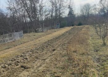 Львівська міськрада виставила на продаж землю в промзоні майже за 30 млн грн