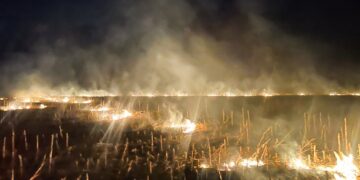 На Черкащині вигоріло понад 5 гектарів площі (ФОТО)