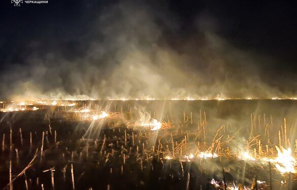 На Черкащині вигоріло понад 5 гектарів площі (ФОТО)