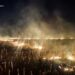 На Черкащині вигоріло понад 5 гектарів площі (ФОТО)