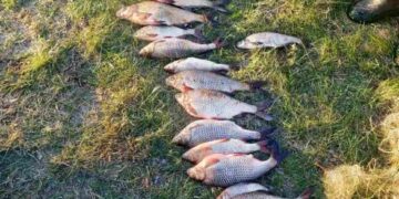 На Черкащині викрили незаконний вилов риби на понад 30 тисяч