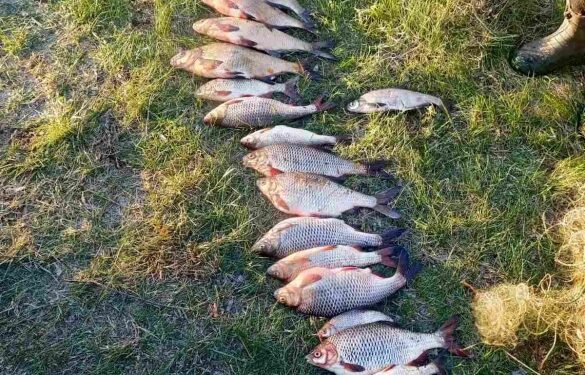 На Черкащині викрили незаконний вилов риби на понад 30 тисяч