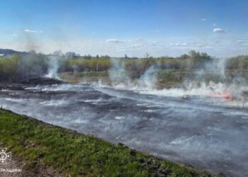 На Черкащині за добу вигоріло понад 7 гектарів сухостою