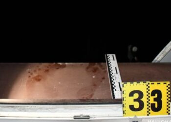 На Львівщині 33-річний онук убив бабусю та дідуся і намагався покінчити з життям