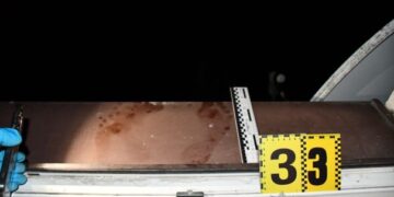 На Львівщині 33-річний онук убив бабусю та дідуся і намагався покінчити з життям