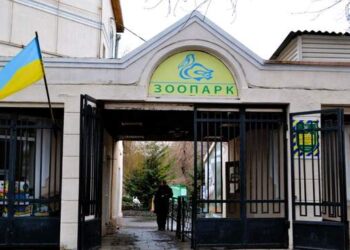 Підряднику Одеського зоопарку визначили заставу :: Інтент :: Суспільно-політичне видання:: Регіональна мережа якісної журналістики