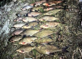 Піймали “на гарячому”: на Золотоніщині викрили нічного браконьєра