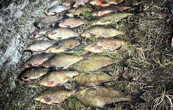 Піймали “на гарячому”: на Золотоніщині викрили нічного браконьєра