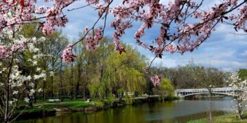 Погода у Запоріжжі: прогноз синоптиків на четвер та п’ятницю 16-17 квітня | Новости Запорожья