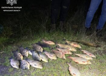 Понад 140 тисяч збитків: на Черкащині викрили браконьєрів