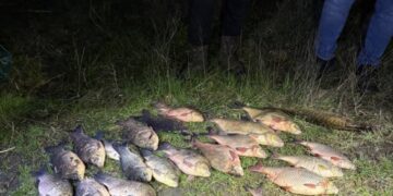 Понад 140 тисяч збитків: на Черкащині викрили браконьєрів