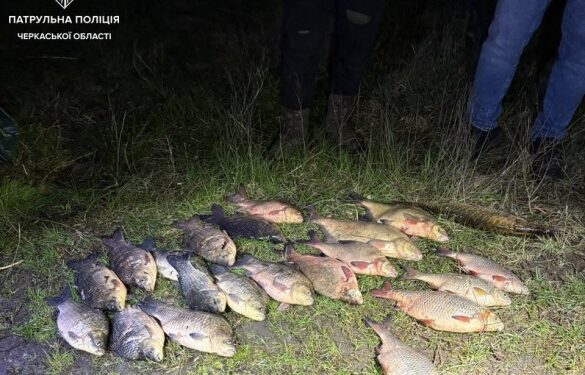 Понад 140 тисяч збитків: на Черкащині викрили браконьєрів
