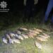 Понад 140 тисяч збитків: на Черкащині викрили браконьєрів