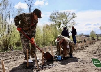 Понад 300 сіянців дуба Шевченка висадили на Черкащині