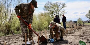 Понад 300 сіянців дуба Шевченка висадили на Черкащині