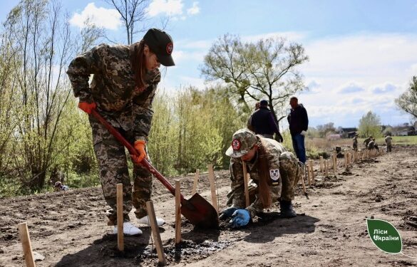 Понад 300 сіянців дуба Шевченка висадили на Черкащині