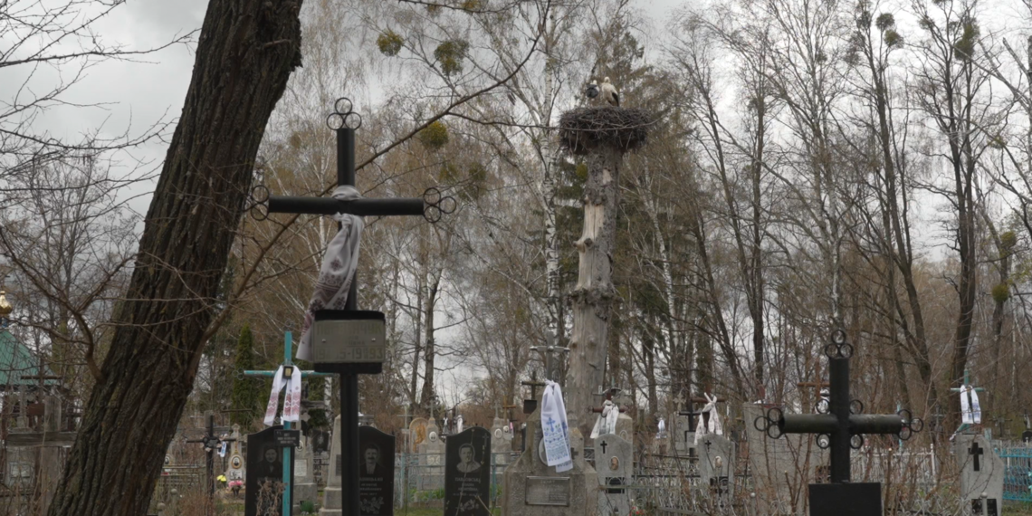 Прикрашають могильні хрести хустками, стрічками та рушниками. Більше про давню великодню традицію на Рівненському Поліссі (ФОТО)