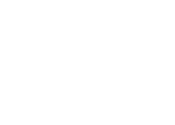 Шевченко поделился планами на будущее Реброва в сборной