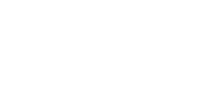 Шевченко поделился планами на будущее Реброва в сборной