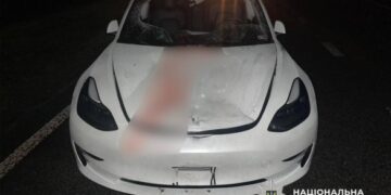Смертельна ДТП поблизу Золотоноші: під колесами “Tesla” загинув пішохід