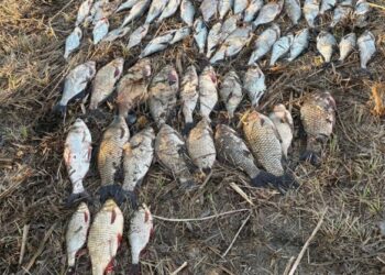У заказнику на Черкащині спіймали браконьєрів із уловом на десятки тисяч гривень