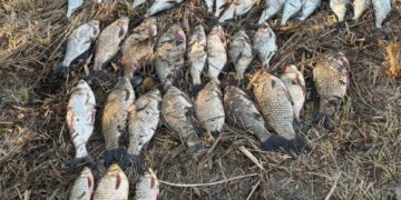 У заказнику на Черкащині спіймали браконьєрів із уловом на десятки тисяч гривень