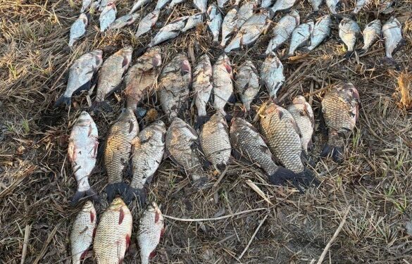 У заказнику на Черкащині спіймали браконьєрів із уловом на десятки тисяч гривень