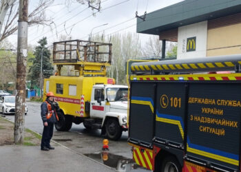 У Запоріжжі на проспекті Металургів гілка тополі нависла над дротами та дорогою – дерево оперативно прибрали | Новости Запорожья