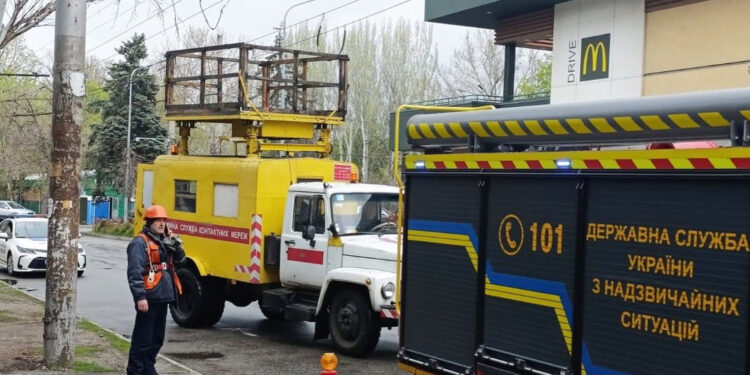 У Запоріжжі на проспекті Металургів гілка тополі нависла над дротами та дорогою – дерево оперативно прибрали | Новости Запорожья