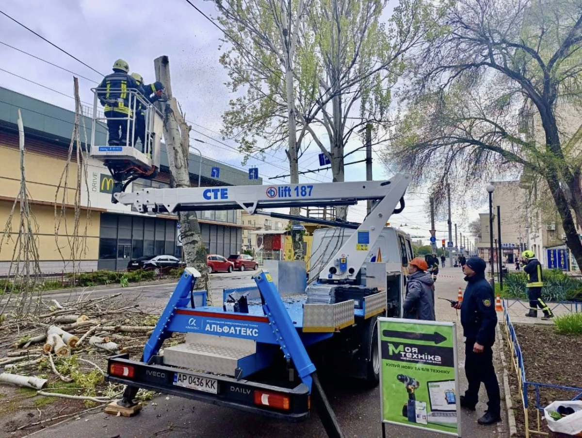 Нависла небезпека: у Запоріжжі аварійна гілка стривожила мешканців (фото)