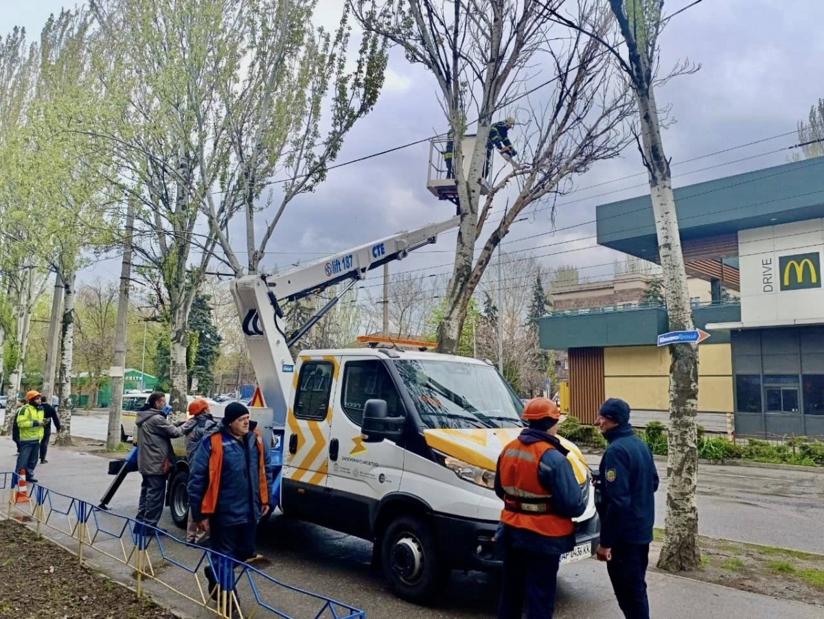 Нависла небезпека: у Запоріжжі аварійна гілка стривожила мешканців (фото)