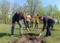 У Запоріжжі у парку Поколінь висадили алею дубів з історичним корінням – подробиці | Новости Запорожья