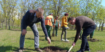 У Запоріжжі у парку Поколінь висадили алею дубів з історичним корінням – подробиці | Новости Запорожья