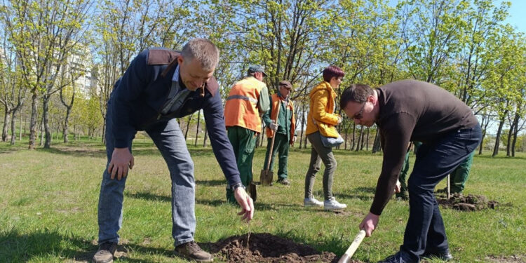 У Запоріжжі у парку Поколінь висадили алею дубів з історичним корінням – подробиці | Новости Запорожья
