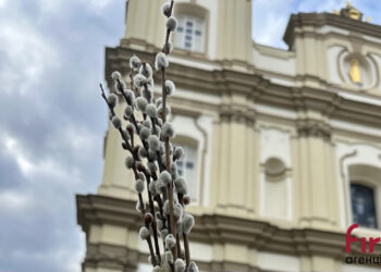 Вербна неділя 2026: розклад богослужінь в івано-франківських храмах