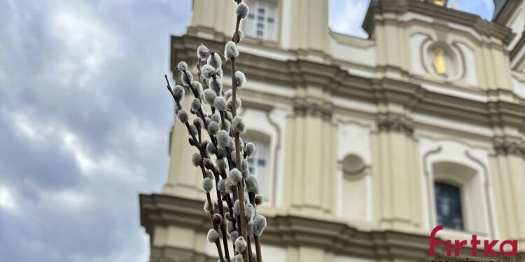 Вербна неділя 2026: розклад богослужінь в івано-франківських храмах