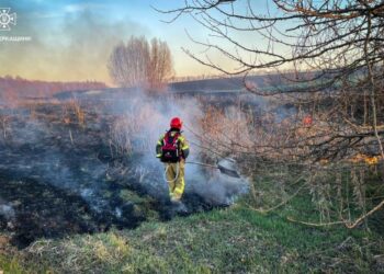 За два дні на Черкащині вигоріли площі, як 40 футбольних полів