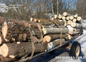 Захиснику лісонасаджень «Укрзалізниці» загрожує в’язниця за вирубку дерев —Хмельнитчина